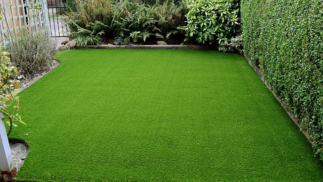 Artificial Grass